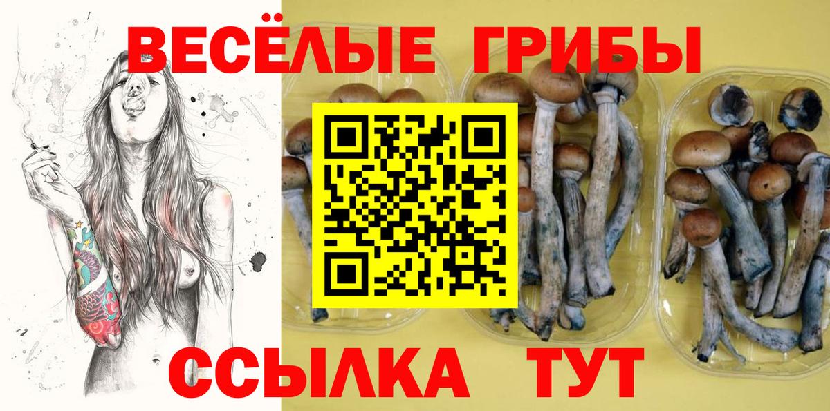Галлюциногенные грибы прущие грибы Можга