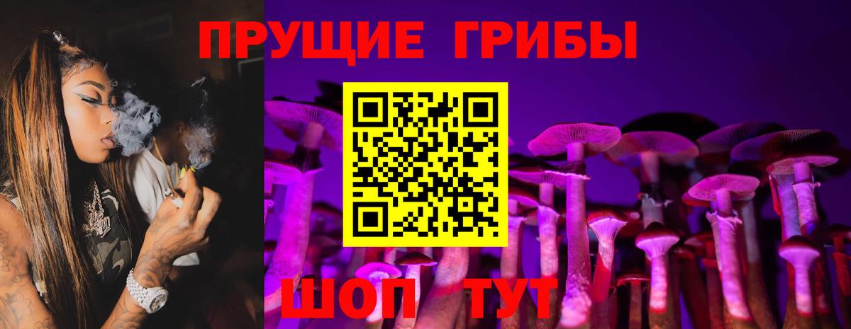 Галлюциногенные грибы Psilocybine cubensis  Псилоцибиновые грибы Psilocybe  Вход с VPN  Можга 